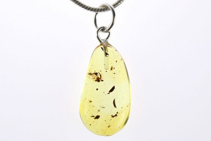 Polished Baltic Amber Pendant (Necklace) - Contains Flies! #273262